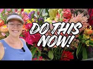 🌸 Do This NOW! Direct Sow Cut Flower Seeds for Spring Garden