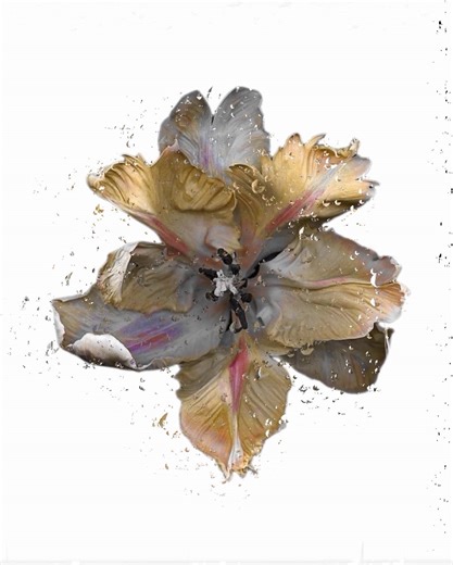 Say Why - Lyrics Video