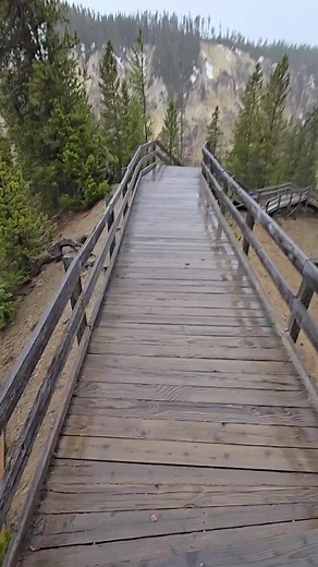Yellowstone_Nature on TikTok
