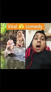 #duet 😱#monkey😋 #funnyanimal #funnyelephant😝 #viralshorts 🤣