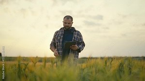 Man botanist with tablet works in field. Farmer agronomist checks ripe wheat, growth, collects data. Scientist engineer conducts research of plant cultivation. Harvesting, eco company, work concept.