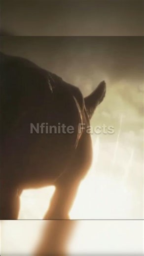 The Living Dinosaur of Today