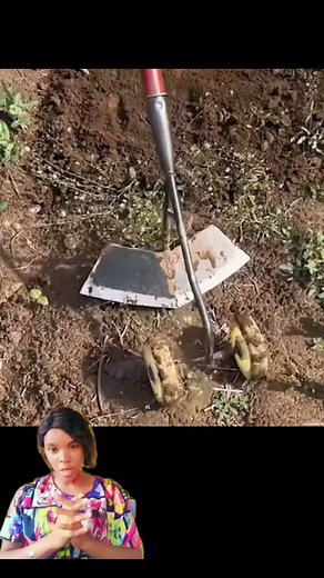 Easy to use hoe for farmers. #art #hoe #FarmTools #farmer #innovation #educational #amazingdiction #tutorial #creativity #craft #hack | Precious Chibuzor Eke