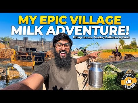 My Milk Adventure 😃🎊🎉