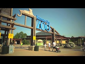 Visit Kansas City Zoo