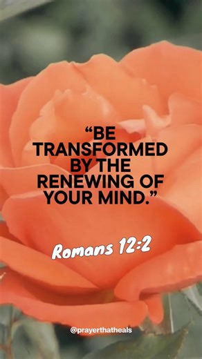 2.5K views · 128 reactions | Romans 12:2 – “Be transformed by the renewing of your mind.” True change begins with spiritual renewal—let God’s love transform your thinking.  #RenewYourMind #SpiritualGrowth #InspiredLiving | Prayer That Heals | Facebook