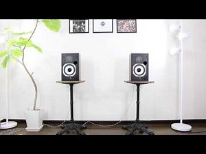 パーフェクトレストア品 名機 JBL 4401 金メッキSP端子 新品CAP サウンドデザインロックス #1