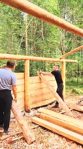 677K views · 10K reactions | construction of a log cabin part 3#build #bushcraft #fyp #outdoor #wildernesscrafters #shelter | Mack Solis | Facebook