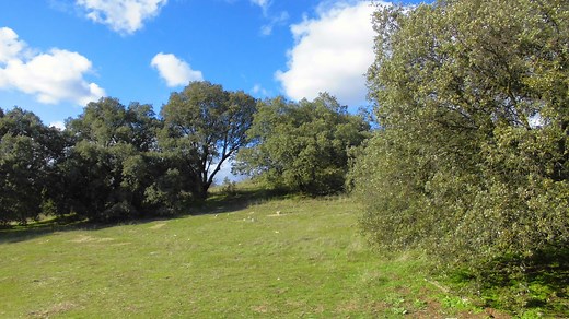 INICIACION AL TIRO CON ARCO - CURSOS