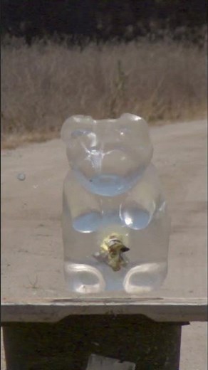 FAFO 2oz. 12ga Slug #experiment #futureweapons