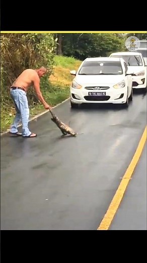 😱 You Won't Believe How Strong a Sloth Really Is!