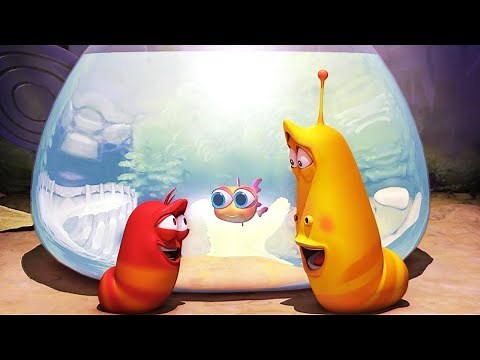 LARVA | GOLDFISH | Cartoon Movie | 2019 Cartoon | Cartoons For Children | WildBrain Cartoons