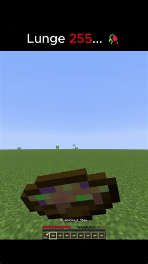 Lunge 255❌Teleporter✅