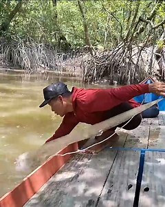 3.4K views · 29 reactions | shrimp nets in small river #fishingnet #netfishimg #pesca | Fishing Videos | Facebook