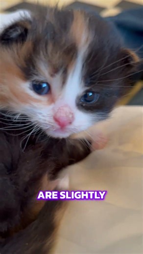 Mad Scientist's Lab Coat & Evolution Secrets Revealed! #shorts