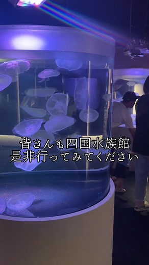 📍【四国水族館／香川・宇多津】 瀬戸内の海をテーマにした、癒しと絶景が楽しめる水族館🐠✨ 海に面したロケーションで、非日常感たっぷり💙 🚃アクセス ・最寄駅：JR宇多津駅から徒歩約12分🚶‍♀️ ・車：坂出北ICから約10分🚗（駐車場あり） 🎡施設内容 瀬戸内海を中心に、四国の豊かな水景を再現🌊 イルカプールや大水槽、クラゲ展示など見どころ満載✨ 屋外エリアでは海風を感じながらゆったり過ごせるよ🍃 👀見どころ ・瀬戸内海をバックにしたイルカパフォーマンス🐬🌅 ・幻想的なクラゲの展示で癒し空間✨ ・大水槽で泳ぐ魚たちに圧倒されること間違いなし🐟 写真映えスポットもたくさん📸💕 🕘所要時間 約1.5〜2時間⏰ ゆっくり回っても疲れにくいちょうどいい広さ◎ 💰費用 大人：2,200円前後💰（時期により変動あり） デートや女子旅にもぴったりな価格感💗 📌ひとこと 海×水族館のロケーションが最高すぎる✨ 夕方〜サンセットの時間帯は特におすすめ🌇💕 #香川旅行#水族館 #PR #TikTokGO #香川観光