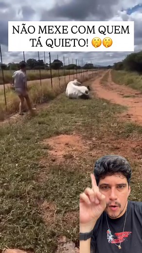 148K views · 2.8K reactions | Gui Martins on Reels | Facebook