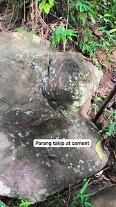 Turtle sign 😱😱 #adventure #YamashitaTreasure #fblifestyle #explore #forintertainmentpurposesonly | Wenlies Tibi