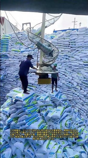 物流の達人 倉庫作業員がバルク品を積み上げる驚異的なスピード：コンベアを使った数千個のバッグの積み込みと積み上げ