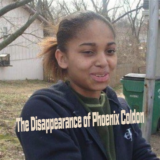 The Vanishing of Phoenix Coldon: Why Everything Wasn’t as It Seemed #fblifestyle | Stephanie Harlowe