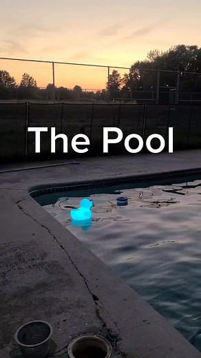 The pool is another fixer upper on our property, but someday it will be extraordinary. We were actually listening to this song while I vacuumed.