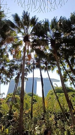 Gardens by the Bay – Singapore’s Futuristic Wonderland 🇸🇬🌿