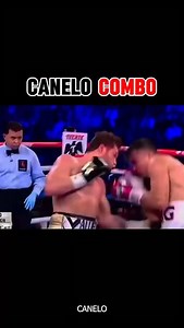 Mexican champion Canelo is one of the greatest names in modern boxing, known for his speed, technique, and strategy. The king of the middleweight division has earned multiple world titles, carving his name into boxing history. In this video, we witness Canelo’s power in the ring, his battles against opponents, and his most unforgettable moments. #caneloalvarez #boxing #learningboxing #boxingtraining #miketyson #fighter | Fighttoons