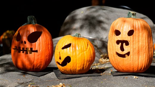 What should you do with old pumpkins? Here's how to keep them out of the landfill