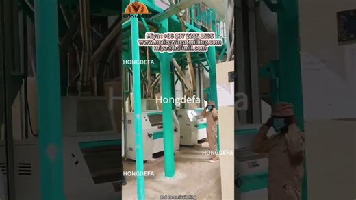 100T/24H Maize Milling Plant Successfully Installed in Kenya by Hongdefa Machinery! | GuangJun Yu