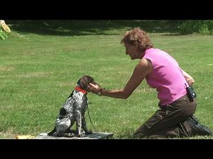 Puppy Training with Blaine & Patti Carter Part 2 of 2