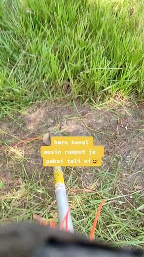 Exploring New Grass Cutting Techniques with Tools