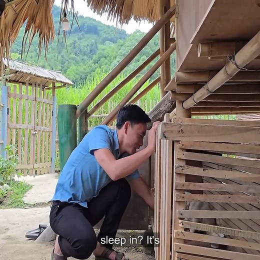 Tim gets angry with Bao when he suspects Tim is the one who caused this | MT Network