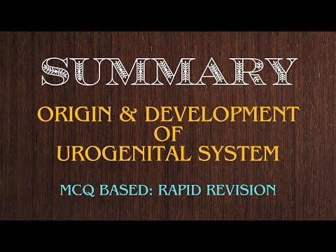 Origin and development of urogenital system (UGS), embryology MCQ by Dr. Mohsin
