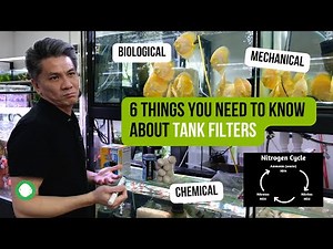 6 Things you need to know about fish tank filters | Sponge filter, Marine Pure Block, Canister, Sump