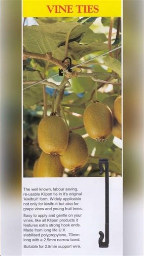 Kiwi Klipon Vine, Trellis and Tree Ties