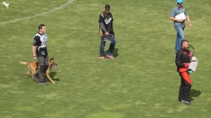 73K views · 1.4K reactions | Congratulations to the World Champions of FMBB IPO 2018: Florian Knabl and Conan! Watch all the Videos of FMBB World Championship IPO 2018 on working-dog! https://www.working-dog.com/results/FMBB-World-Championship-2018---IPO-21154381 | Working-dog | Facebook