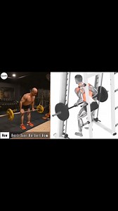 186K views · 2.9K reactions | Massive Back Workout Routine - 8 Best Back Exercises | kamalc32 | Facebook