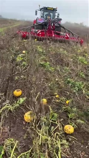 6.4K views · 34 reactions | *FARMING UPDATE* Farmer Matt is sowing...