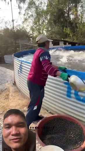 Extra Thick Catfish Tank #construction