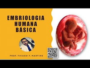Embriologia Humana Básica