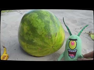 FCCD - SpongeBob SquarePants Fruit Snacks in Reversed