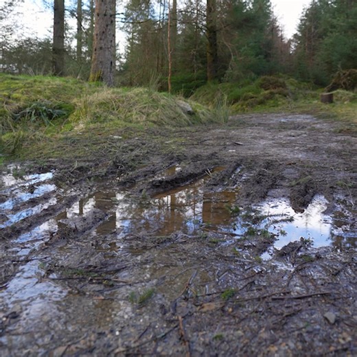 Electrify your adventures ⚡ Go further with our amazing gravel e-bike range 🚲 | Halfords