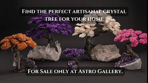 Large - Genuine Rose Quartz Clustered Gemstone Tree on Amethyst Matrix (The Love Tree)