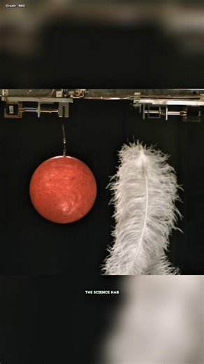 Bowling Ball vs Feather Experiment! #shorts #sciencefacts #physics