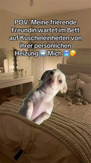 Persönliche Heizung: Kuscheln im Bett 🛌🔥