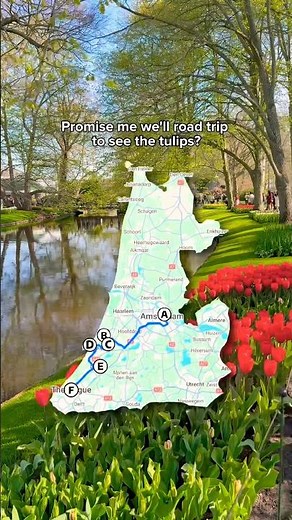 Save this Netherlands tulip road trip ⬇️ #roadsurfer #neatherlands #tulips