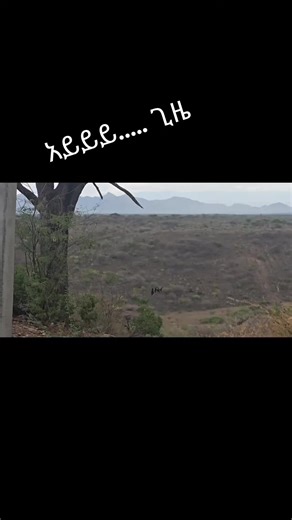 #shilela#ethiopian_tik_tok🇪🇹🇪🇹🇪🇹🇪🇹 #amharatiktok