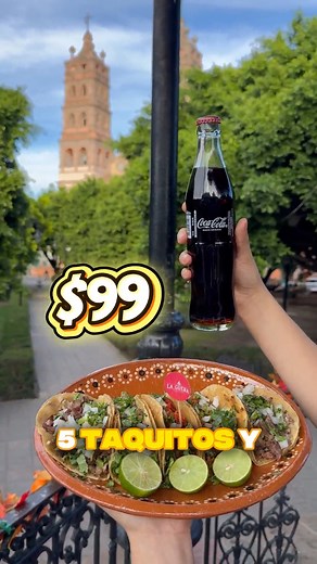 Dicen en el jardín de Salvatierra 🌳👀 que los combos más atascados y deliciosos están en Taquería La Güera 🤭🌮 Llevamos todo el sabor a tus reuniones familiares, cumplimos antojos y dejamos a todos felices 😋🎉 Además, facturamos y aceptamos tarjeta de crédito y débito 💳✨ Manda mensaje al 466 202 4716 y entérate del chisme más sabroso 💬🔥 #viralchallenge #Salvatierra #fypchallenge | Taquería La Güera