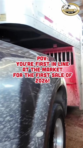 Selling Cattle This Week: A Guide for Ranchers