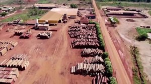 Deforestation is spiking in the Amazon